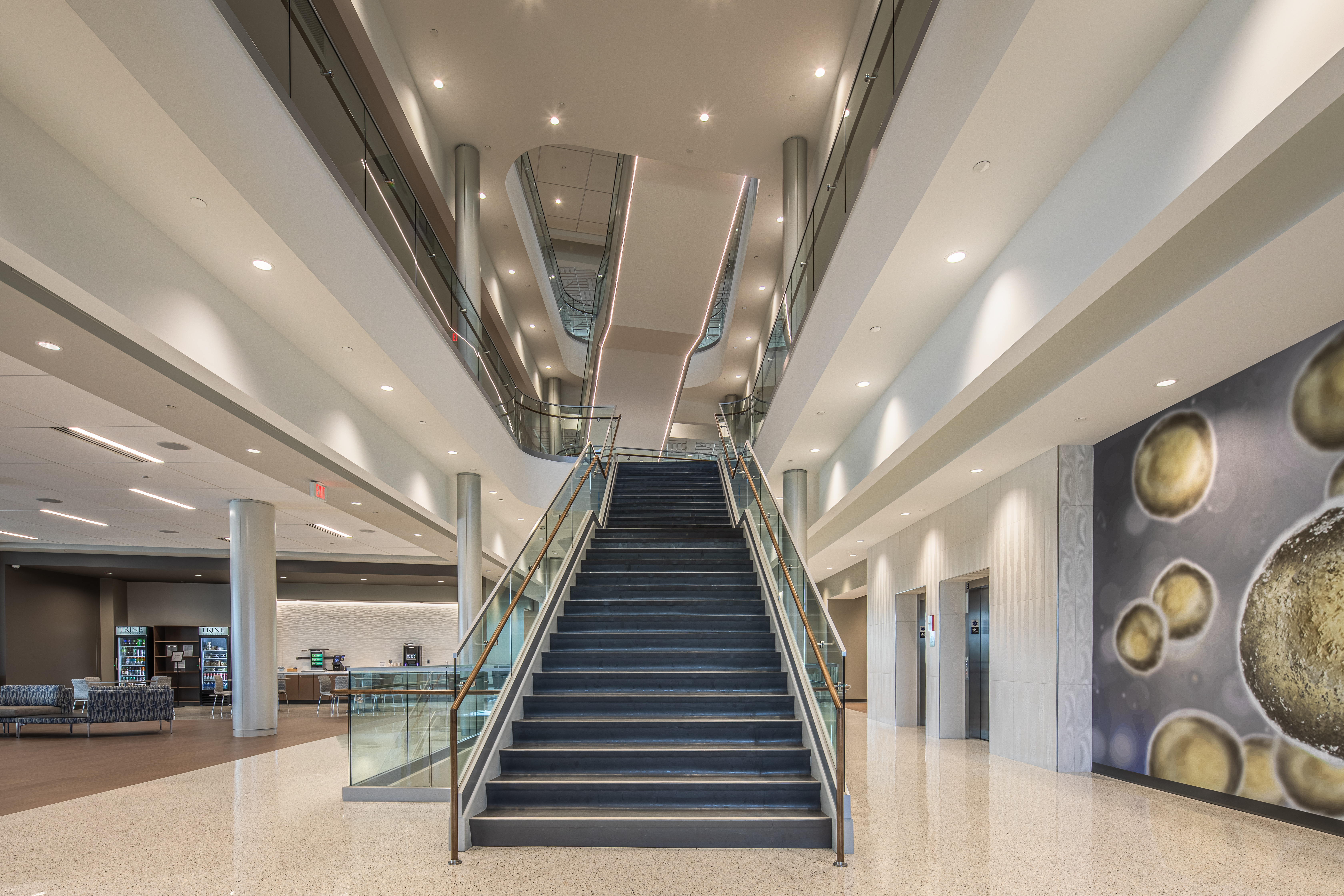 Trine University Health Professions Building-14