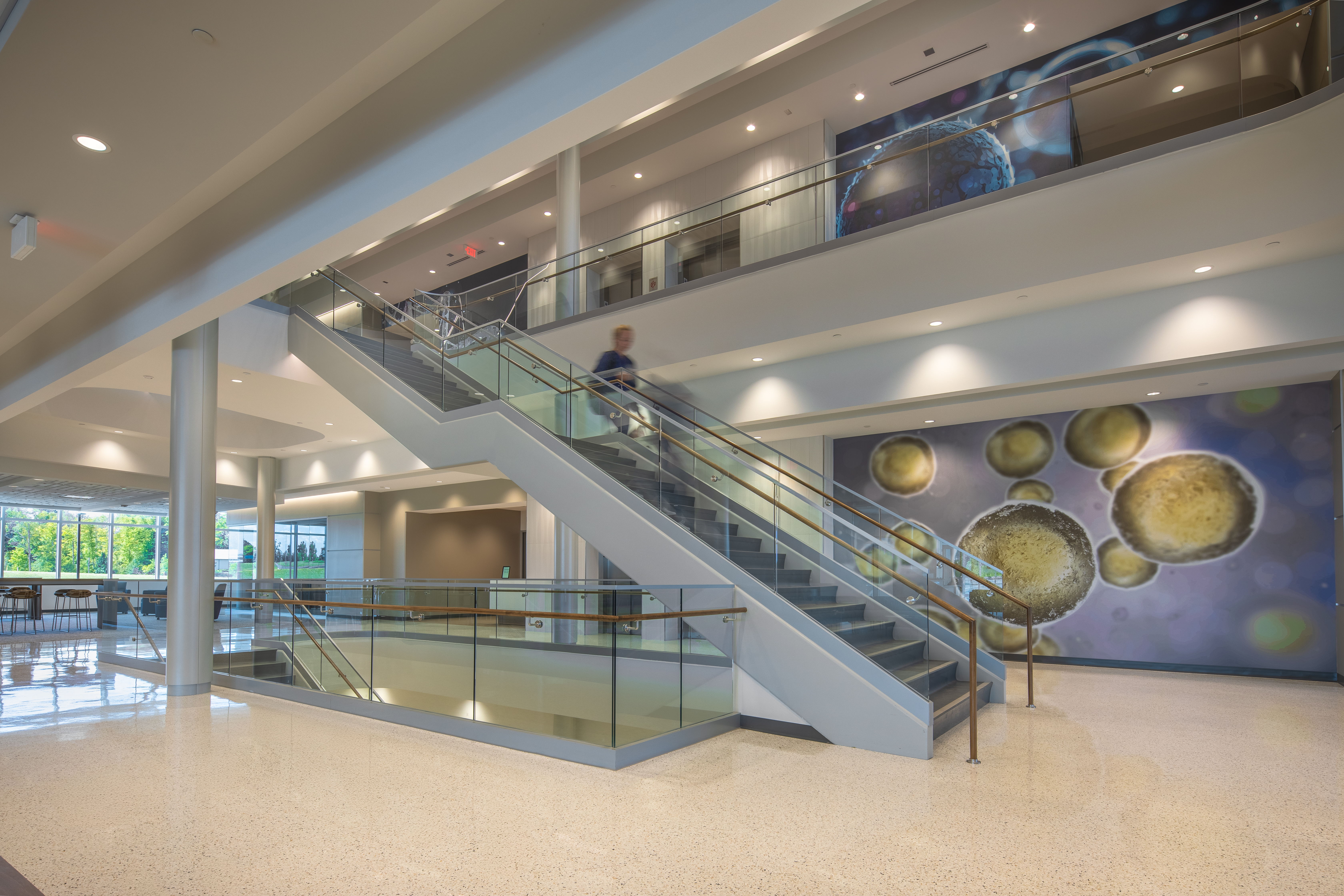 Trine University Health Professions Building-15
