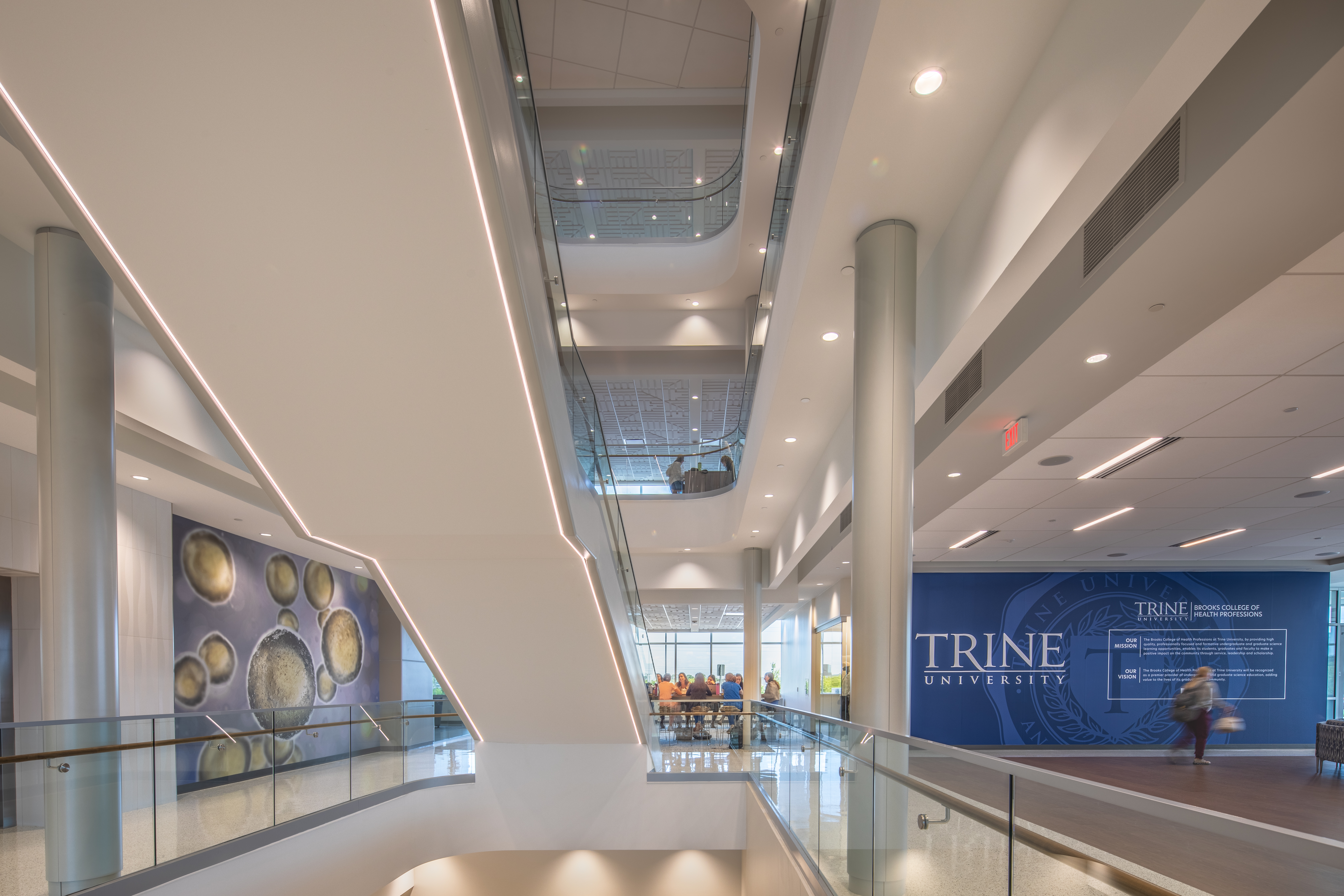 Trine University Health Professions Building-18